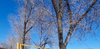 «QazaqGaz Aimaq» АҚ Жетісу өндірістік филиалы жылу беру маусымын табысты аяқтады