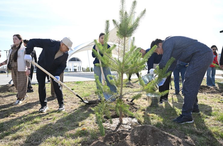 «Таза Қазақстан»: Жетісу облысында жалпыоблыстық сенбілік аясында 8 мың ағаш егілді