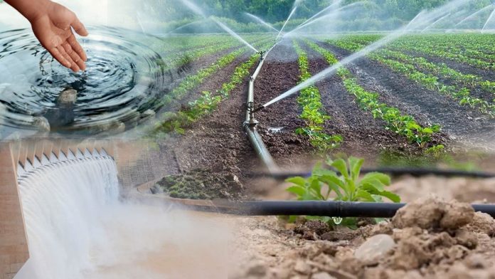 d4cd37103ee6652b0d4067f9ac0d7d3e_original.263845