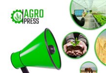 Ауыл шаруашылығы вице-министрі Жетісу облысының тұрғындарымен кездеседі