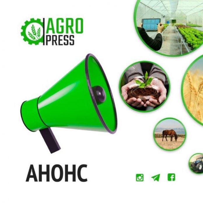 f7041512243a7a6fcde08259da2f7b79_original.51131