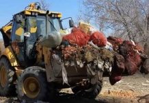 Борьбу со стихийными свалками усиливают в Жетісу