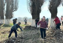 Жетісу выбирает чистоту