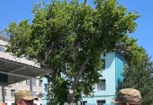 Алакөл ауданында жас сарбаздарға жеке қару табыстау рәсімі өтті