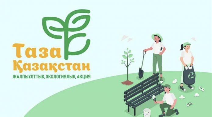 Талдықорғанда ағаштарды санитарлық мақсатта кесу жұмыстары жалғасуда