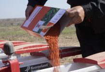 Жетісу облысында қант қызылшасын себу жұмыстары аяқталды
