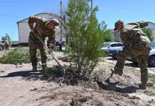 Военный городок «Жұлдыз» в Сарыозеке озеленяют в рамках «Таза Қазақстан»