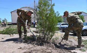 Военный городок «Жұлдыз» в Сарыозеке озеленяют в рамках «Таза Қазақстан»