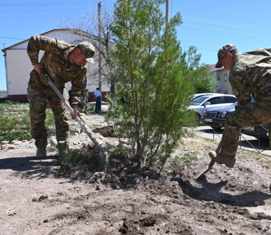 Военный городок «Жұлдыз» в Сарыозеке озеленяют в рамках «Таза Қазақстан»
