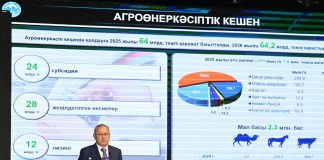 Бейбіт Исабаев Текелі қаласының әкіміне абоненттерді газға қосу жұмысын жеделдетуді тапсырды