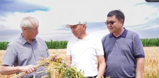Жетісу облысында дәнді дақылдардың өнімділігін арттырудың заманауи технологиялары талқыланды