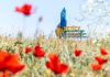 Жетісуда 43 инвестициялық жоба іске асырылуда