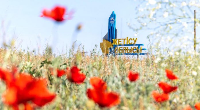 Жетісуда 43 инвестициялық жоба іске асырылуда