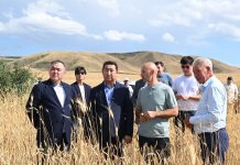 Айдарбек Сапаров Жетісудағы АӨК саласында инвестициялық жобалардың жүзеге асырылуы және егін жинау барысымен танысты