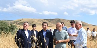 Айдарбек Сапаров Жетісудағы АӨК саласында инвестициялық жобалардың жүзеге асырылуы және егін жинау барысымен танысты