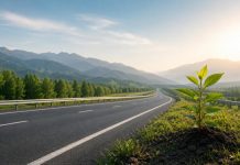 2027 жылы автомобиль жолдарының экологиялық қауіпсіздігін қамтамасыз ету жөніндегі бірыңғай норматив енгізіледі