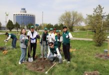 Более 600 бойцов отрядов «Жасыл ел» благоустраивают города и сёла в Жетісу