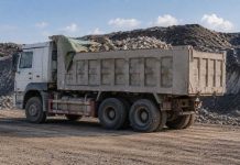 Незаконная добыча природных ресурсов пресечена в Жетісу