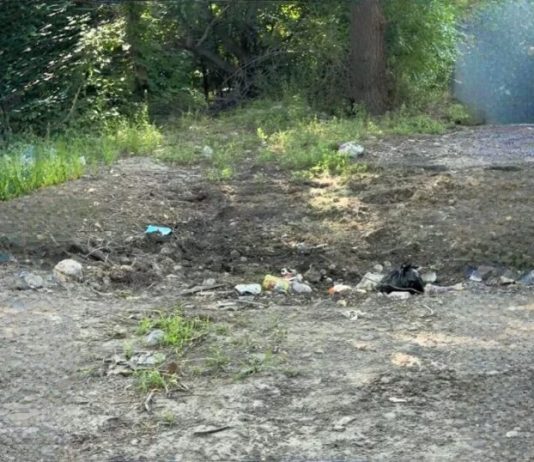 «Таза Қазақстан»: Талдықорғанда мобильді топ кезекті рейдке шықты