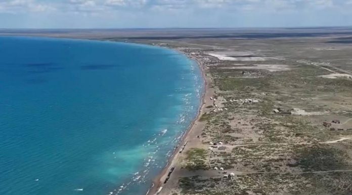 Балқаштағы таза жағалау – ортақ қауіпсіздік пен жауапкершіліктің көрінісі