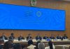 ТүркПА бақылаушылар миссиясы Қазақстандағы Құрылтай сайлауына оң баға берді