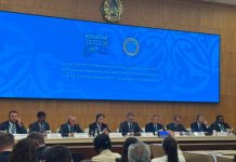 ТүркПА бақылаушылар миссиясы Қазақстандағы Құрылтай сайлауына оң баға берді