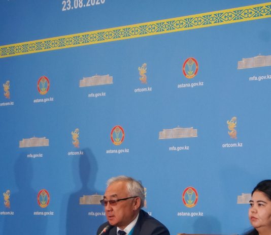 «Адамдар үлкен ықыласпен келіп жатыр» – ҰҚШҰ байқаушылары Құрылтай сайлауындағы дауыс беру барысы туралы пікір білдірді