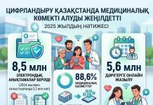 8,5 млн электрондық анықтама және 5,6 млн онлайн қабылдауға жазылу: цифрландыру Қазақстанда медициналық көмекті алуды жеңілдетті