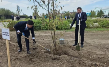 Семей полигонының жабылғанына 35 жыл: Курчатовта не өзгерді