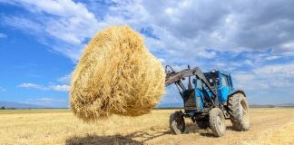 Жетісу қысқа дайындалуда: қажетті мал азығының 87% дайындалып үлгерді