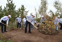 «Таза Қазақстан» – ұлттық мәдениеттің көрінісі