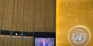 По инициативе Казахстана Генеральная Ассамблея ООН провозгласила Международный день озеленения планеты