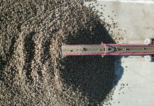 В области Жетісу началась приёмка сахарной свеклы на переработку: сахарные заводы модернизируют и наращивают мощности