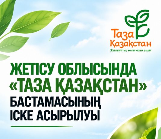 Жетісу облысында «Таза Қазақстан» экологиялық бастамасы жүзеге асырылуда