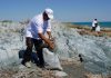 Жетісуда «Таза Қазақстан»: табиғи аумақтар тазартылды