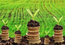 1 қазаннан бастап ауыл шаруашылығы тауарын өндірушілер 2027 жылға арналған қаржыландыруға өтінім бере алады