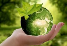 Туған жердің тазалығына үлес қосу — әр азаматтың жауапкершілігі